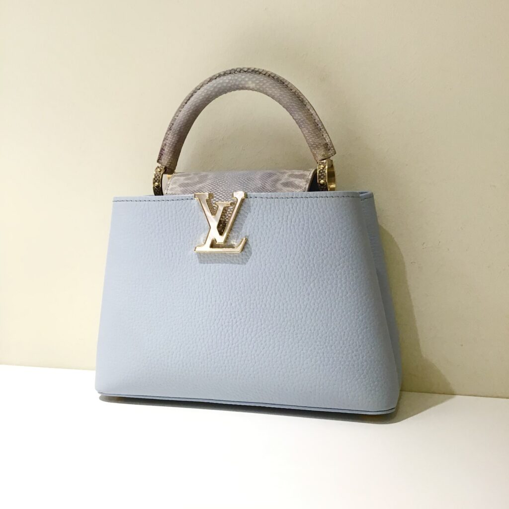LV レザー&パイソン カプシーヌBB M21166